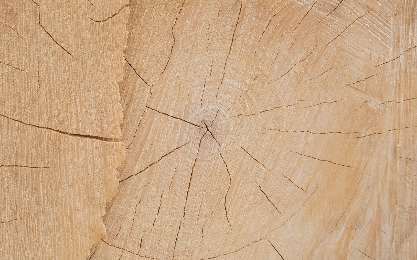 Makroaufnahme einer natürlichen Holzmaserung mit sichtbaren Jahresringen und Rissen, symbolisiert nachhaltige Materialien, Naturdesign und hochwertige Verarbeitung für moderne Wohn und Küchenkonzepte.